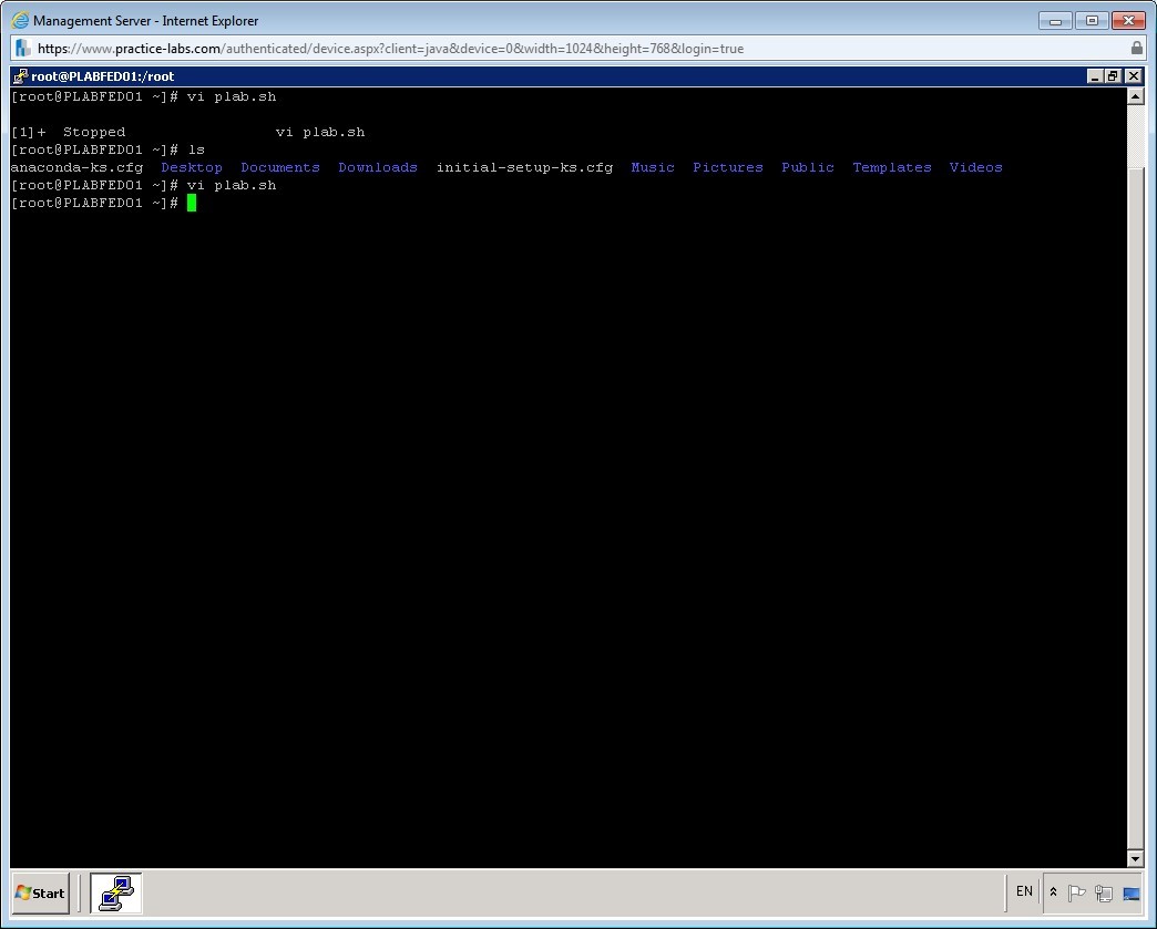 Practice Labs screenshot.